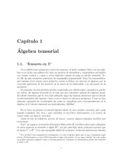 Algebra tensorial.pdf